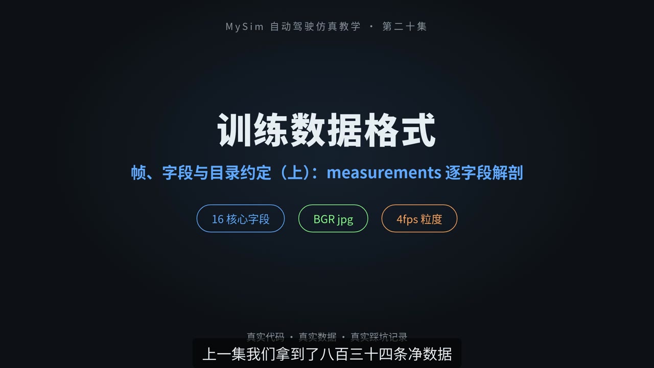 训练数据格式：帧、字段与目录约定（上）